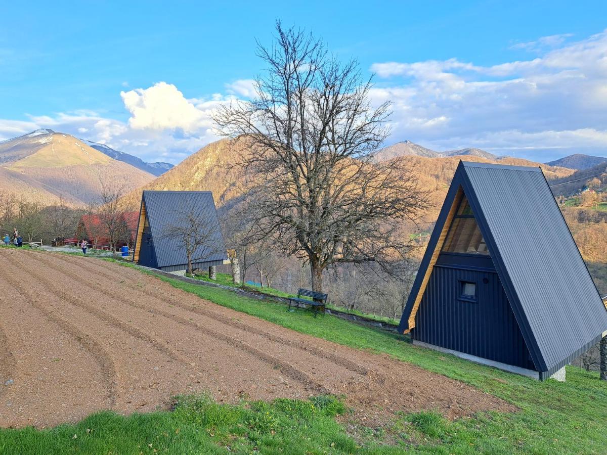 Fern Farm Tiny Home Mojkovac Esterno foto