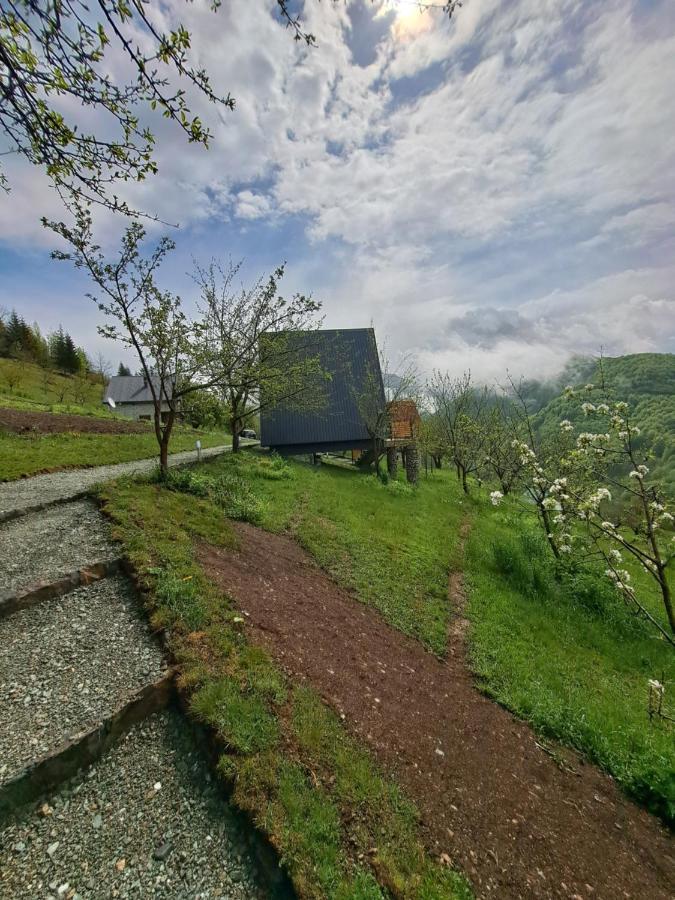 Fern Farm Tiny Home Mojkovac Esterno foto