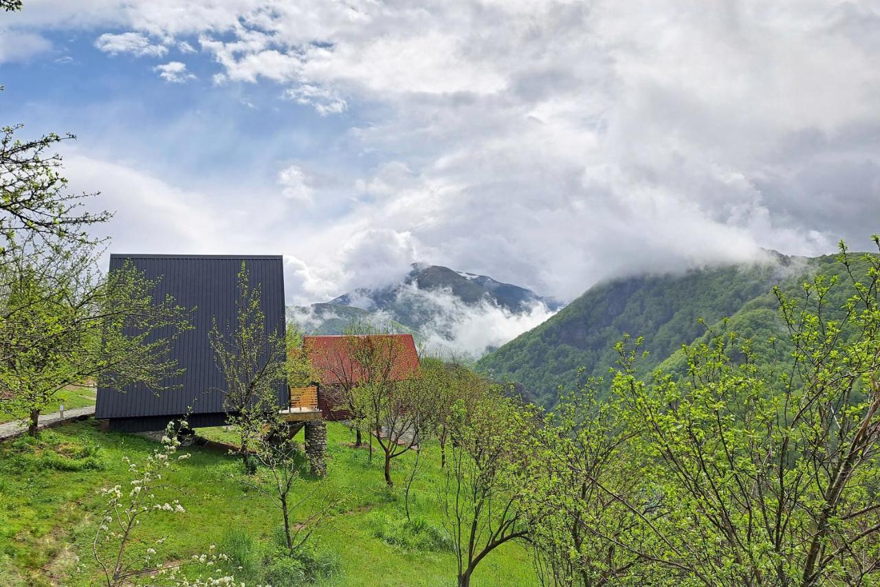 Fern Farm Tiny Home Mojkovac Esterno foto