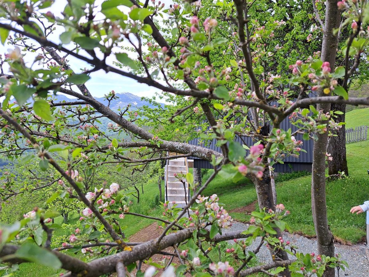 Fern Farm Tiny Home Mojkovac Esterno foto