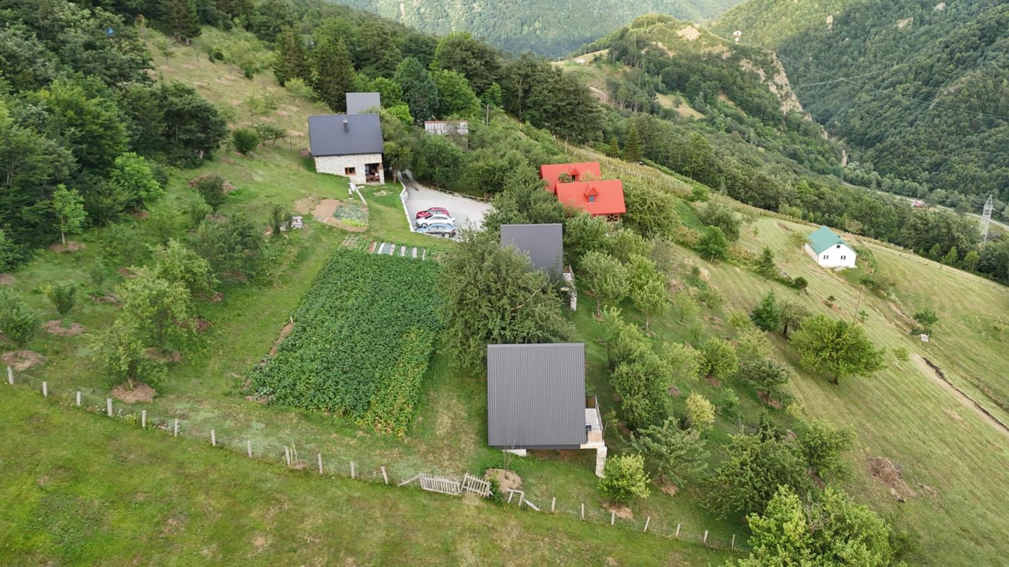 Fern Farm Tiny Home Mojkovac Esterno foto